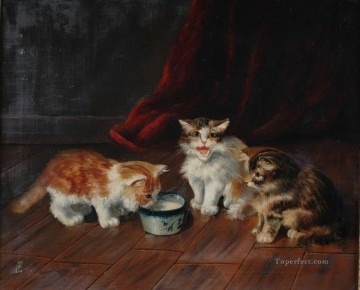 Alfred Brunel de Neuville trois chatons Peinture à l'huile